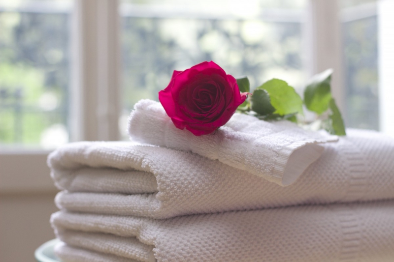 hotel-BAUDINARD SUR VERDON-min_towel_rose_clean_care_salon_spa_white_bath-731641